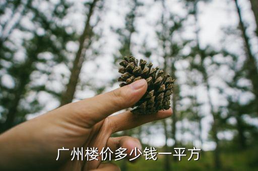 廣州樓價(jià)多少錢(qián)一平方