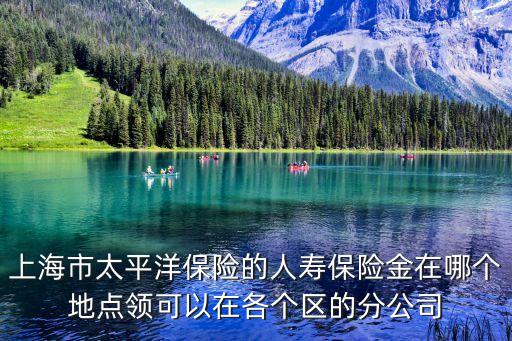 上海市太平洋保險(xiǎn)的人壽保險(xiǎn)金在哪個(gè)地點(diǎn)領(lǐng)可以在各個(gè)區(qū)的分公司