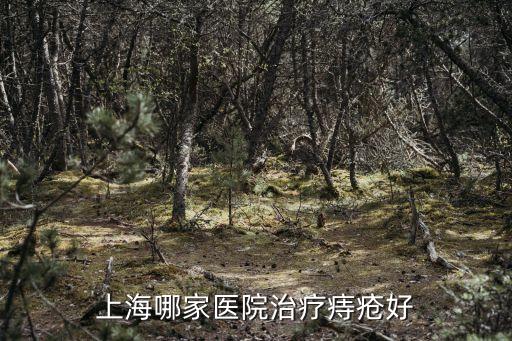 上海市治療痔瘡哪家醫院最好的醫院，上海哪家醫院治療痔瘡好