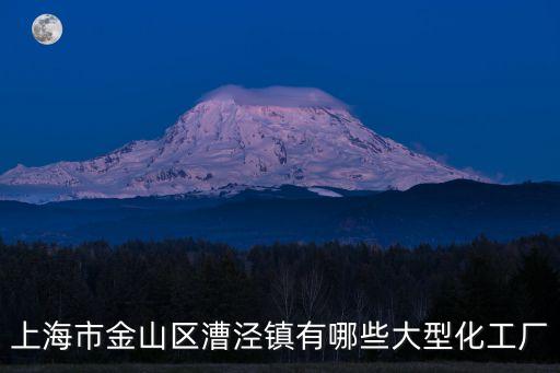 上海市金山區漕涇鎮有哪些大型化工廠