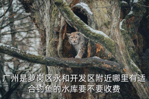 廣州水庫野釣的地方，廣州哪里有釣魚的地方
