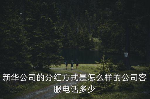 廣州新華集團南嶺公司，新華公司的分紅方式是怎么樣的公司客服電話多少