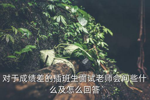 廣州黃岡學校五下插班生面試，插班生一般面試幾率有多大