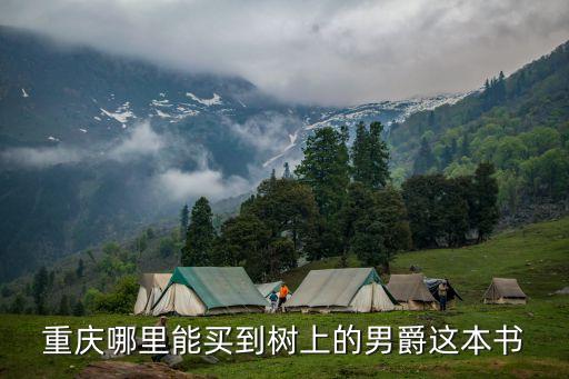 樹上的男爵，什么地方能買到那本書