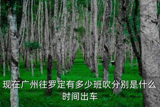 現(xiàn)在廣州往羅定有多少班吹分別是什么時間出車