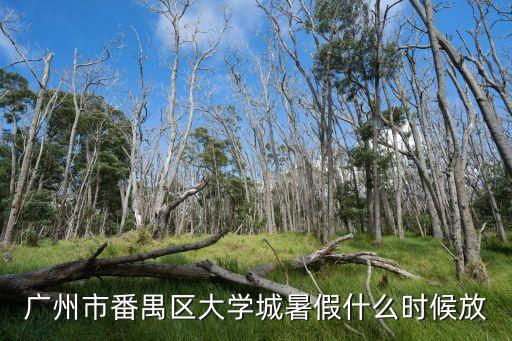 廣州市番禺區大學城暑假什么時候放