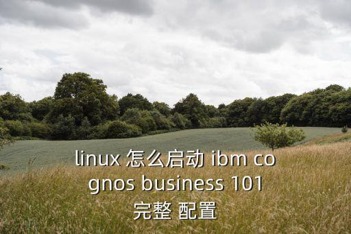 linux 怎么啟動 ibm cognos business 101完整 配置