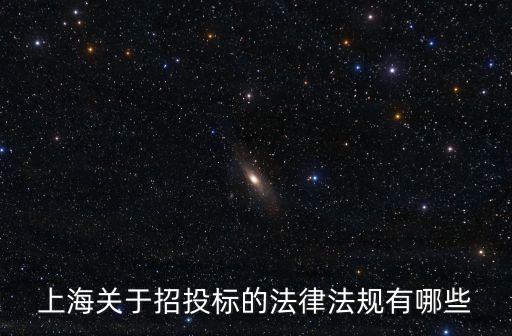 上海關(guān)于招投標的法律法規(guī)有哪些