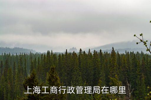 上海市工商管理局徐匯，上海工商行政菅理局在哪里