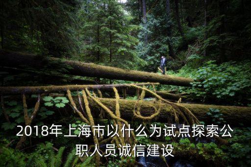 2018年上海市以什么為試點探索公職人員誠信建設