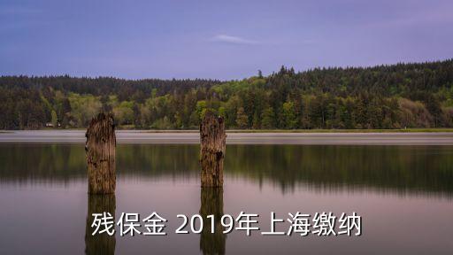 上海市殘保金按照什么比例征收，上海市殘疾人就業(yè)保障金的基數(shù)怎么計算