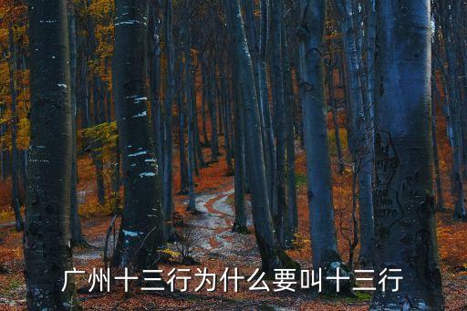 廣州十三行為什么要叫十三行