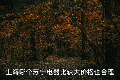 上海哪個(gè)蘇寧電器比較大價(jià)格也合理