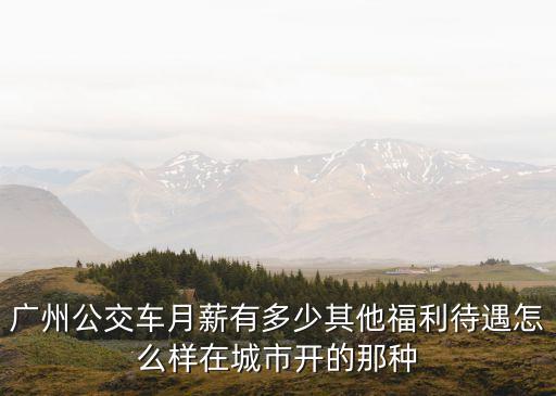 廣州公交車月薪有多少其他福利待遇怎么樣在城市開的那種