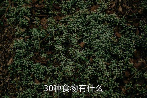 30種食物有什么