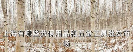上海有哪些勞保用品和五金工具批發(fā)市場