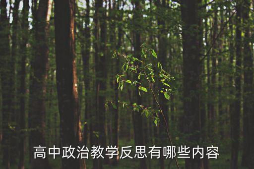 高中政治教學(xué)反思，求高二政治2200字反思