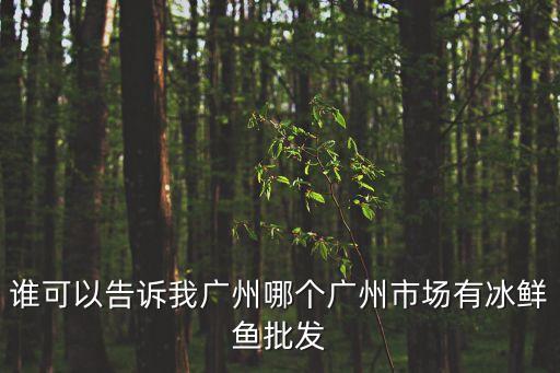 誰可以告訴我廣州哪個廣州市場有冰鮮魚批發