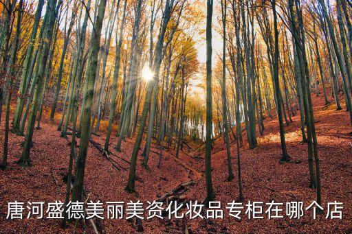 廣州市盛德化妝品，唐河盛德美麗美資化妝品專柜在哪個(gè)店