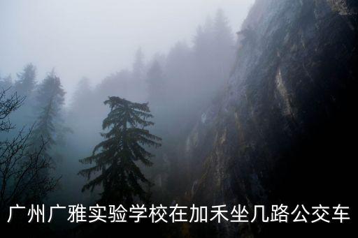 廣州廣雅實驗學校在加禾坐幾路公交車