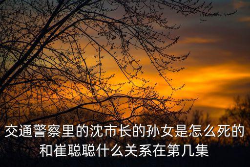 沈清和，交通警察里的沈市長的孫女是怎么死的和崔聰聰什么關系在第幾集