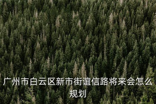 廣州市白云區新市街誼信路將來會怎么規劃