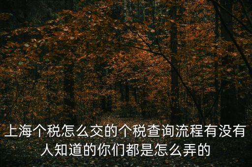 上海個稅怎么交的個稅查詢流程有沒有人知道的你們都是怎么弄的