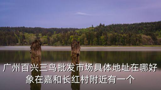 廣州三鳥市場賣雞鴨，廣州百興三鳥批發市場具體地址在哪好象在嘉和長紅村附近有一個