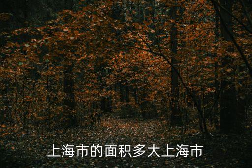 上海市寬度，上海市面積有多大