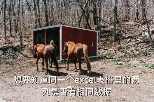 想要知道同一個excel表格里的兩列是否有相同數(shù)據(jù)
