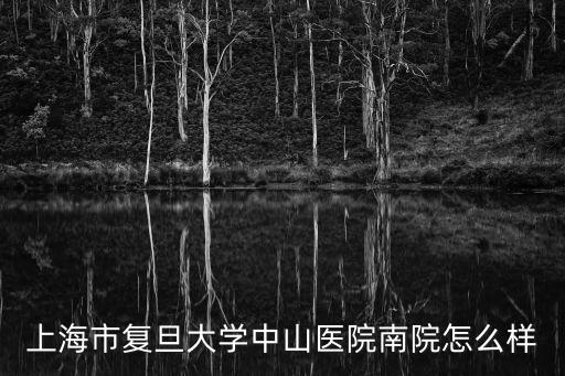 上海市復(fù)旦大學(xué)中山醫(yī)院南院怎么樣