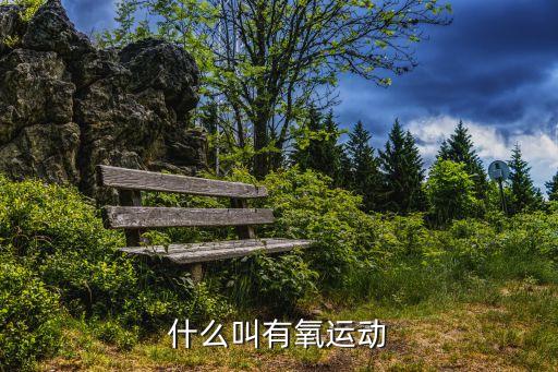 有氧運動的定義，有氧運動是什么意思