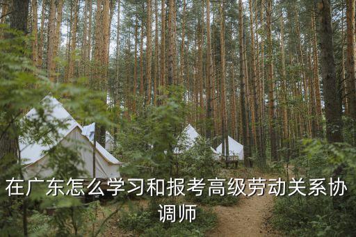 廣州勞協(xié)二級主要考試內(nèi)容，二級人力資源管理師的考試形式是什么