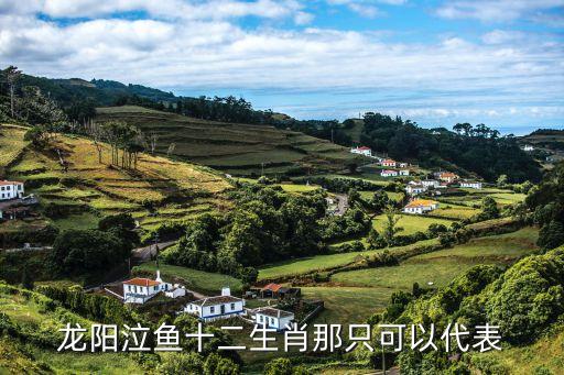 龍陽泣魚十二生肖那只可以代表