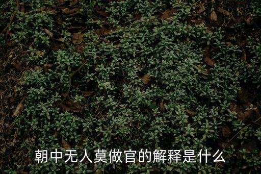 朝中無(wú)人莫做官的解釋是什么