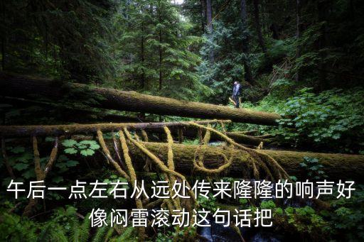 午后一點左右從遠處傳來隆隆的響聲好像悶雷滾動這句話把
