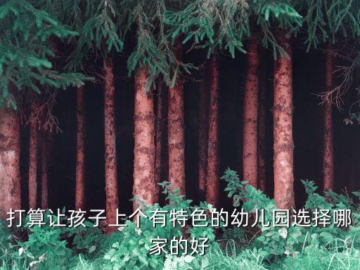 特色幼兒園，打算讓孩子上個有特色的幼兒園選擇哪家的好