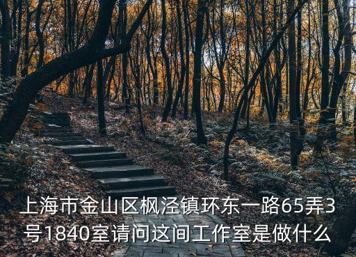 上海市金山區楓涇鎮環東一路65弄3號1840室請問這間工作室是做什么