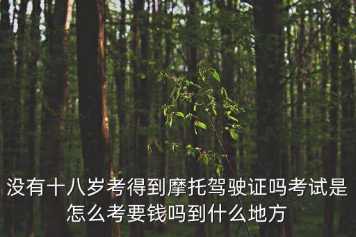 摩托車駕駛證考試，摩托車駕照考試的程序是什么