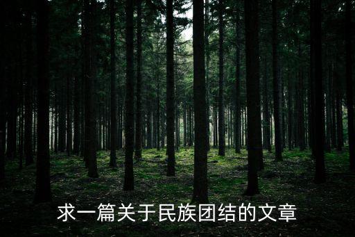 民族團結論文，論文我愛我的祖國民族團結是福
