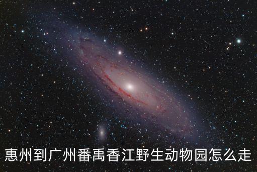 惠州到廣州野生動(dòng)物園開車要多久，惠州淡水怎么到廣州番禺香江野生動(dòng)物園求公車路線急急急啊  搜