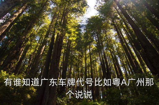 有誰知道廣東車牌代號比如粵A廣州那個說說