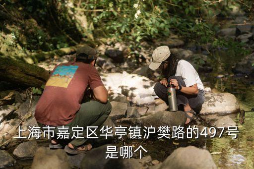 上海市達曼經貿發展公司，上海市峨山路613號C樓306室是哪個公司啊