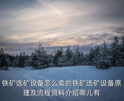 鐵礦選礦設(shè)備怎么賣的鐵礦選礦設(shè)備原理及流程資料介紹哪兒有