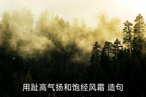 趾高氣揚(yáng)造句，用趾高氣揚(yáng)和飽經(jīng)風(fēng)霜 造句