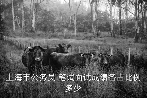 2019上海市考面試排名，2013上海公務員考試面試名單