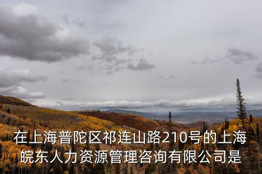 在上海普陀區祁連山路210號的上海皖東人力資源管理咨詢有限公司是