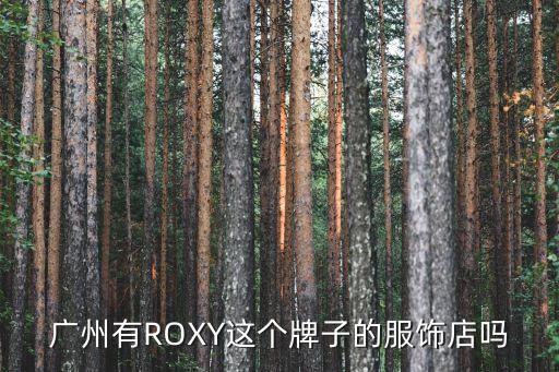 雷洛喬治男裝廣州店地址，廣州有ROXY這個牌子的服飾店嗎