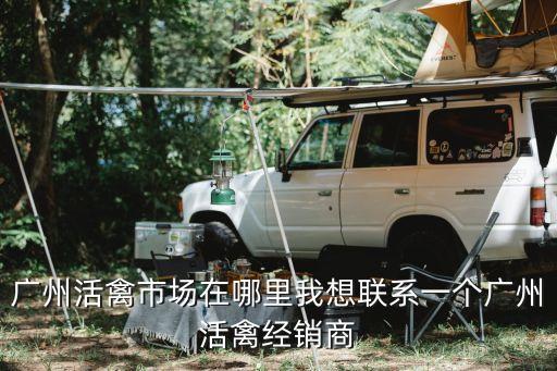 廣州哪個菜市場有童子雞賣，廣州天河區(qū)哪里有小雞賣