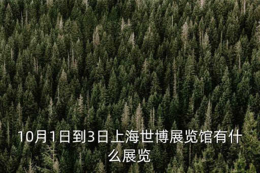 上海市世博展覽館展會，上海世界博覽